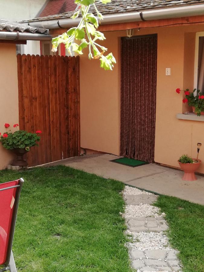 Csilla Apartman Makó エクステリア 写真