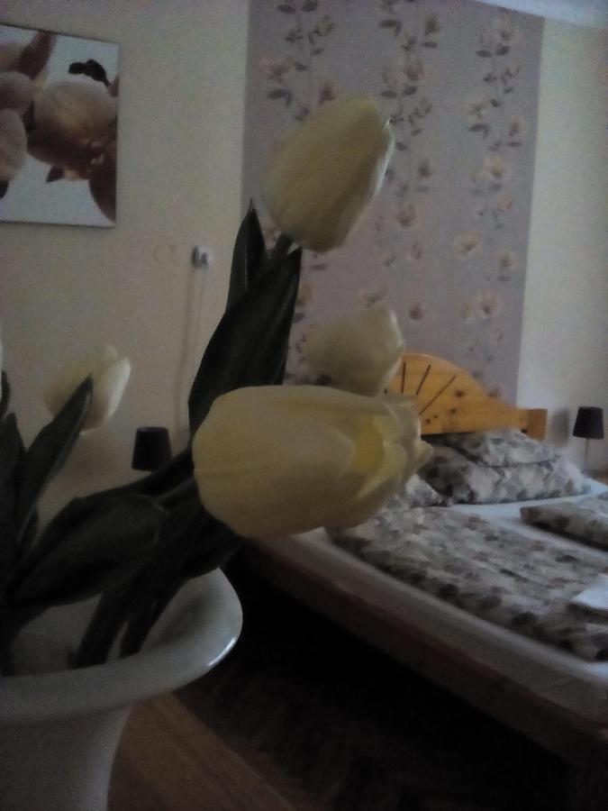 Csilla Apartman Makó エクステリア 写真