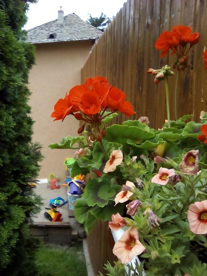 Csilla Apartman Makó エクステリア 写真